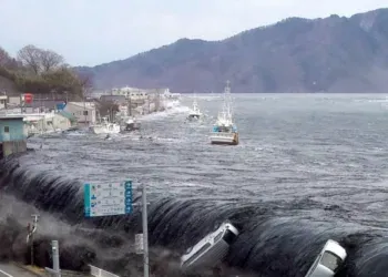 Илустрација, архивска фотографија за цунами по силен земјотрес/ Фото: РСЕ