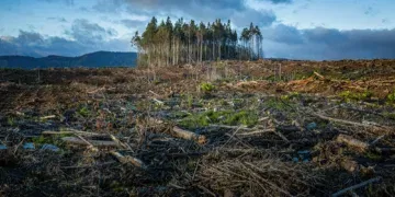 Photo by Matt Palmer on Unsplash